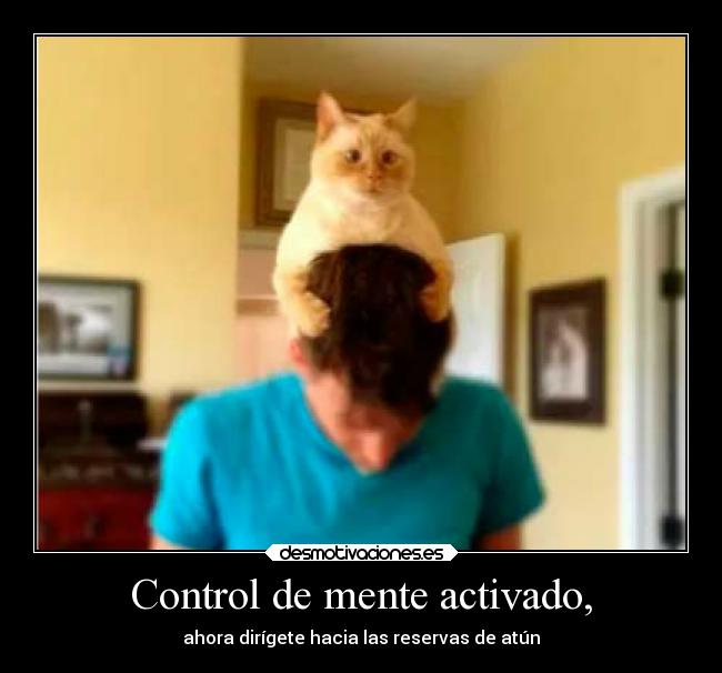 Control de mente activado, - 