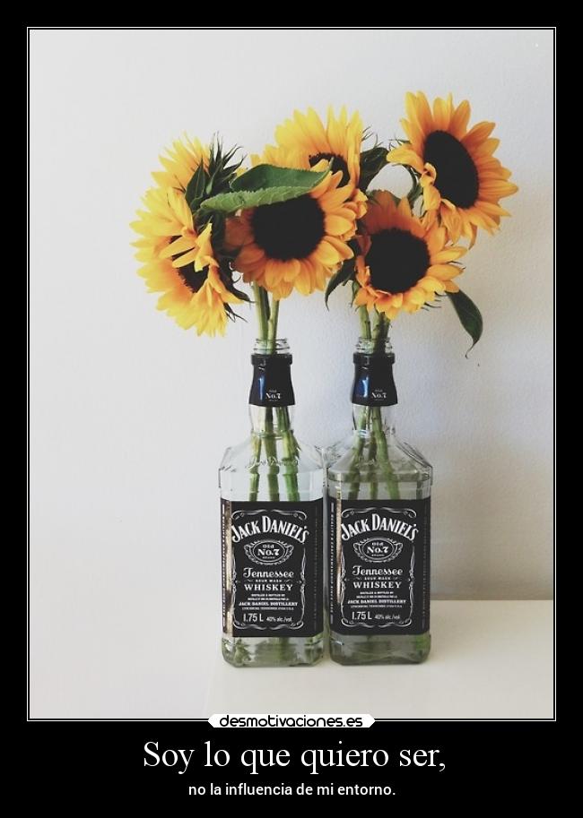 Soy lo que quiero ser, - 