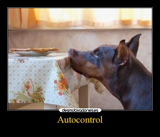 Autocontrol -