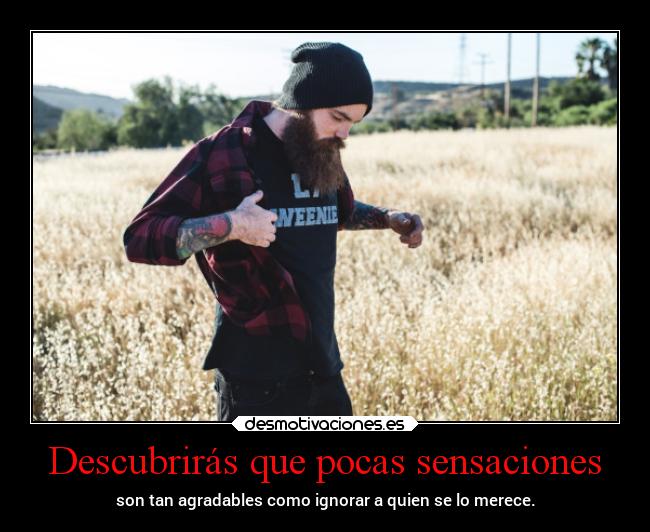 Descubrirás que pocas sensaciones - 