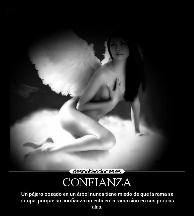 CONFIANZA - Un pájaro posado en un árbol nunca tiene miedo de que la rama se
rompa, porque su confianza no está en la rama sino en sus propias
alas.
