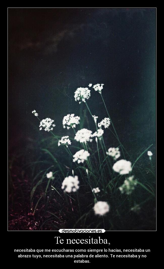 Te necesitaba, -
