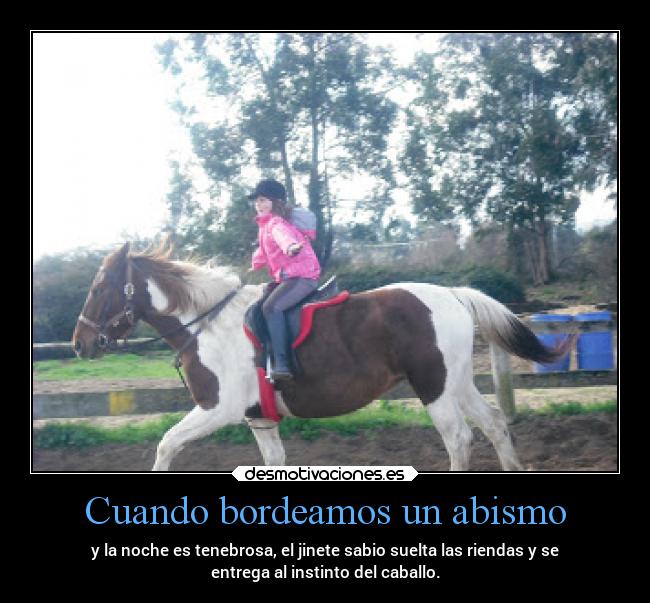 carteles confianza galope caballo galopar caballos jinetes desmotivaciones