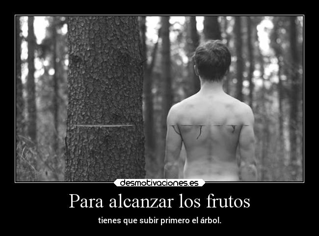 Para alcanzar los frutos - 