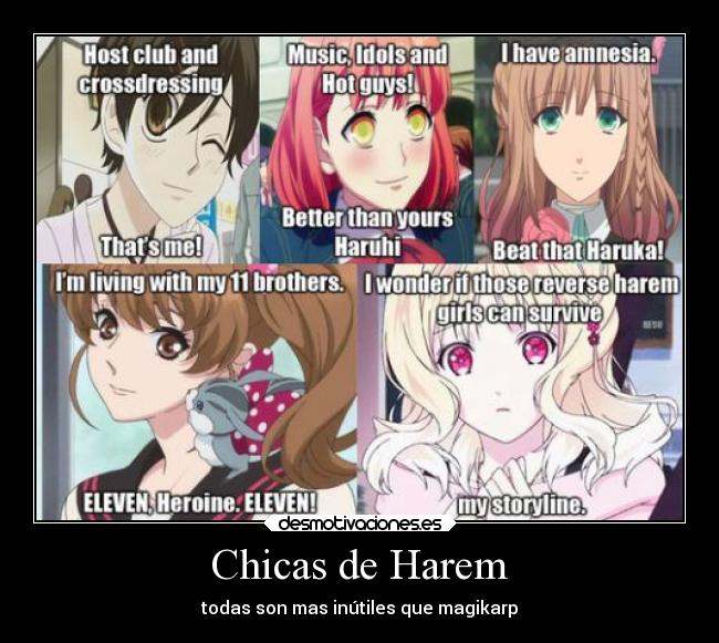 Chicas de Harem - 