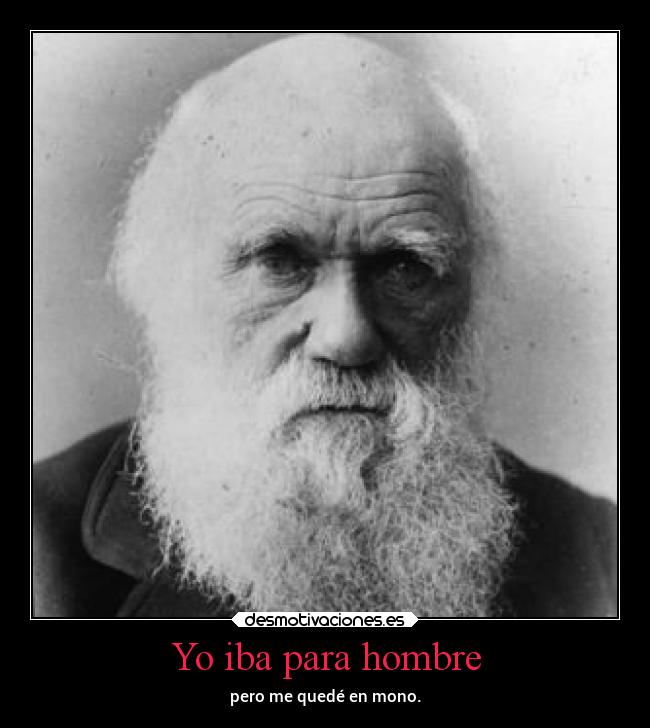 carteles criticas darwin evolucion mono involucion decimequesesiente desmotivaciones