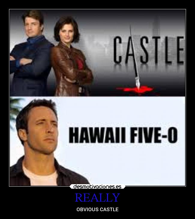 REALLY - OBVIOUS CASTLE