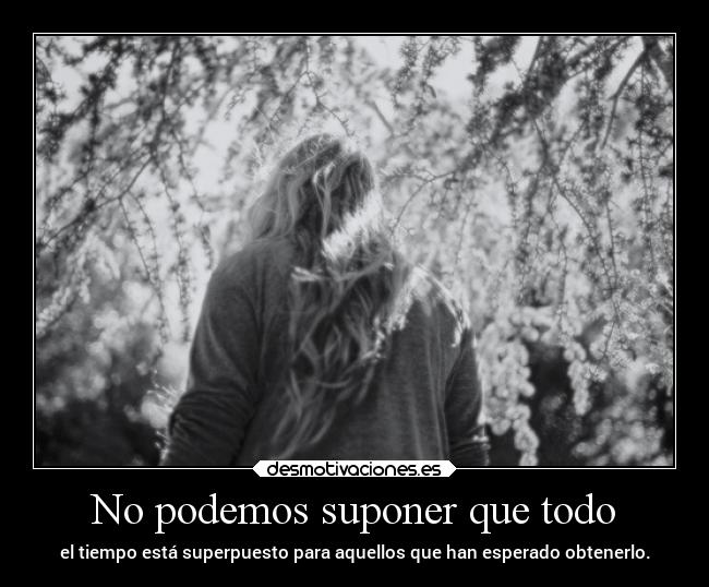 No podemos suponer que todo -