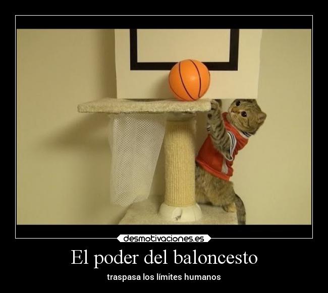 El poder del baloncesto - 