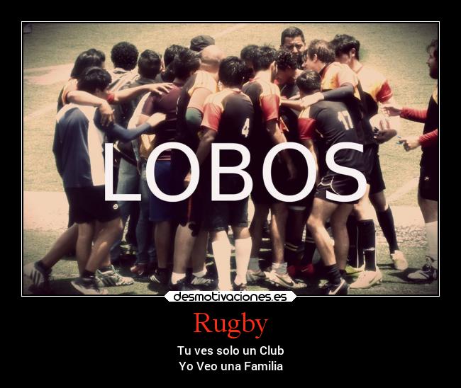 Rugby -