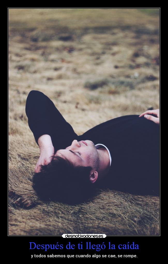 carteles desamor caida romperse putabida desmotivaciones