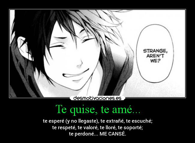 Te quise, te amé... - te esperé (y no llegaste), te extrañé, te escuché;
te respeté, te valoré, te lloré, te soporté;
te perdoné... ME CANSÉ.