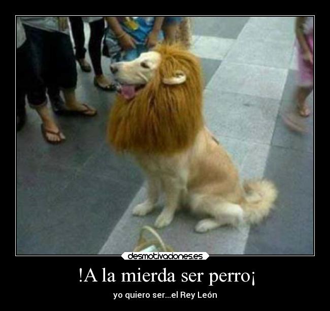 !A la mierda ser perro¡ - 