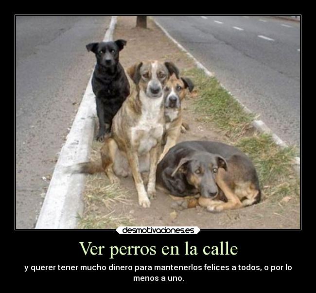 carteles deseos desmotivaciones dinero tristeza animales perros calle desmotiva injusticia beluu42 desmotivaciones