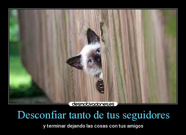 carteles desmotivaciones animales desmotivaciones