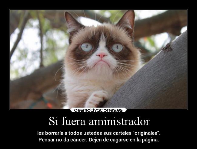 Si fuera aministrador -