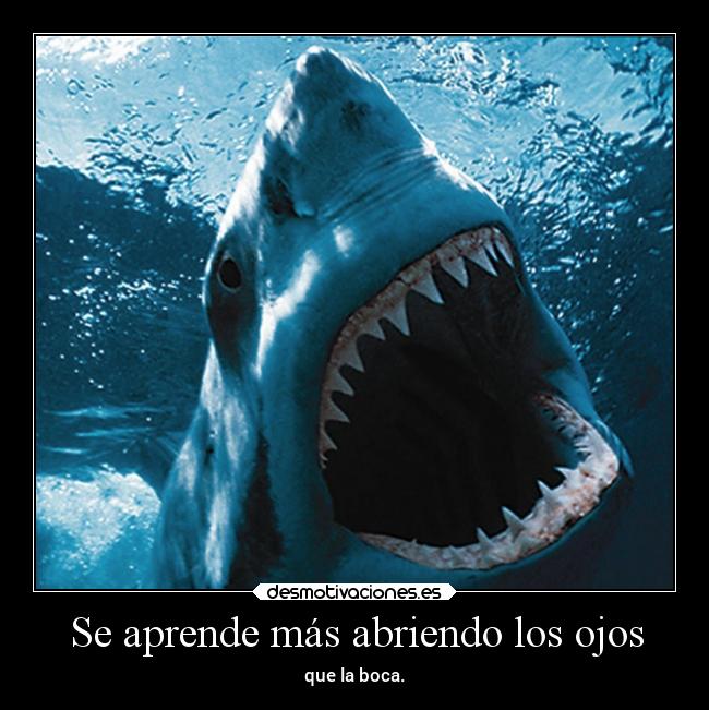 Se aprende más abriendo los ojos - 