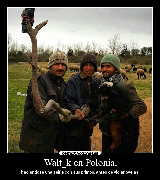 Walt_k en Polonia, -