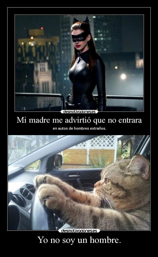 carteles desmotivaciones gatos graciosas tonto humor tonteriasde projectd desmotivaciones