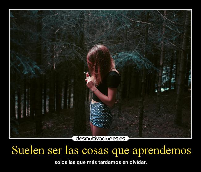 Suelen ser las cosas que aprendemos - 