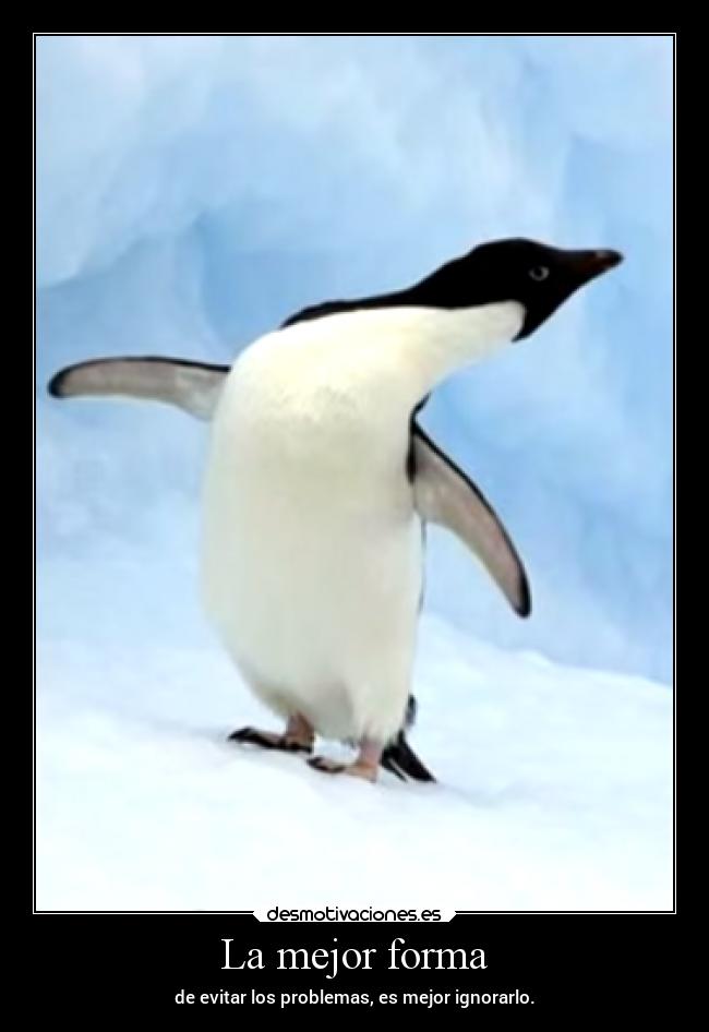carteles desmotivaciones ignorancia pinguino sabiduria desmotivaciones