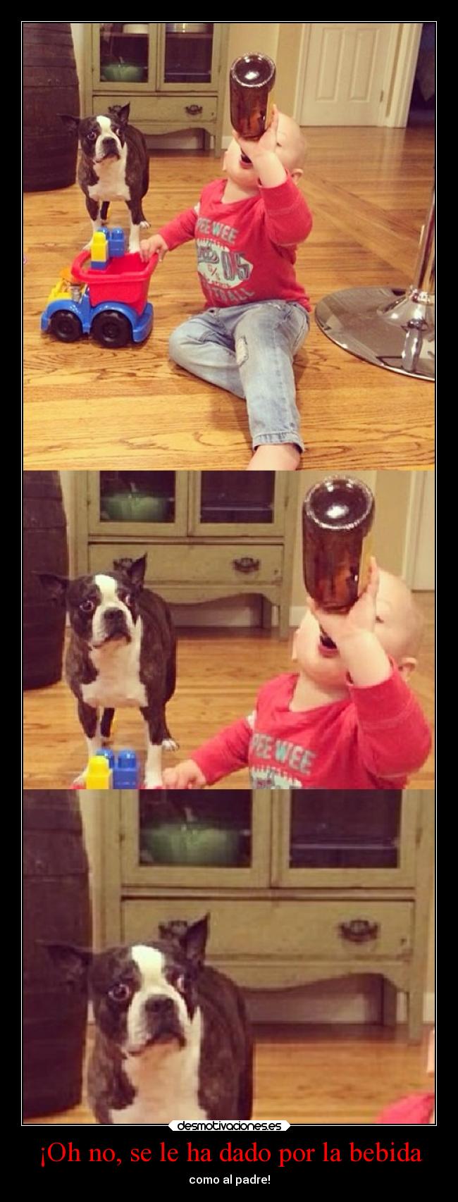 ¡Oh no, se le ha dado por la bebida -