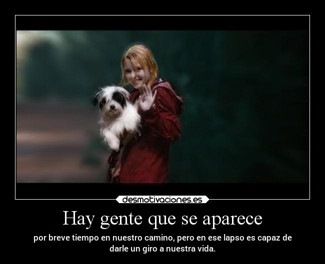 carteles destino besos amor terabithia desmotivaciones