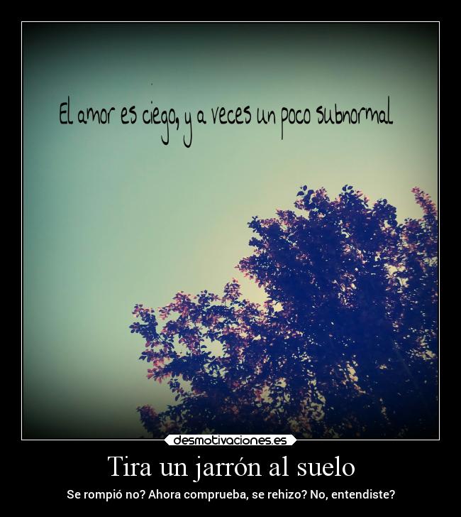 Tira un jarrón al suelo - Se rompió no? Ahora comprueba, se rehizo? No, entendiste?