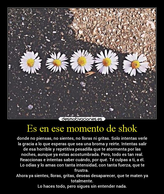 Es en ese momento de shok - donde no piensas, no sientes, no lloras ni gritas. Solo intentas verle
la gracia a lo que esperas que sea una broma y reírte. Intentas salir
de esa horrible y repetitiva pesadilla que te atormenta por las
noches, aunque ya estas acostumbrada. Pero, todo es tan real.
Reaccionas e intentas saber cuándo, por qué. Té culpas a ti, a él.
Lo odias y lo amas con tanta intensidad, con tanta fuerza, que te
frustra. 
Ahora ya sientes, lloras, gritas, deseas desaparecer, que te maten ya
totalmente.
Lo haces todo, pero sigues sin entender nada.