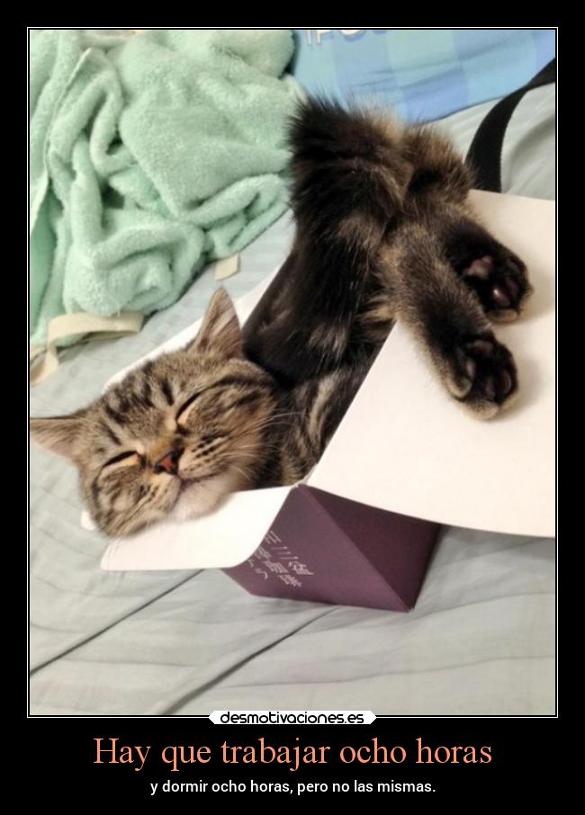 carteles dormir desmotivaciones