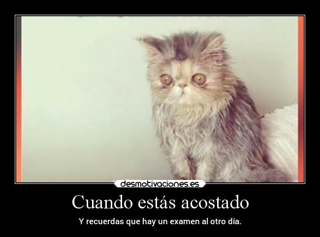 Cuando estás acostado - Y recuerdas que hay un examen al otro día.