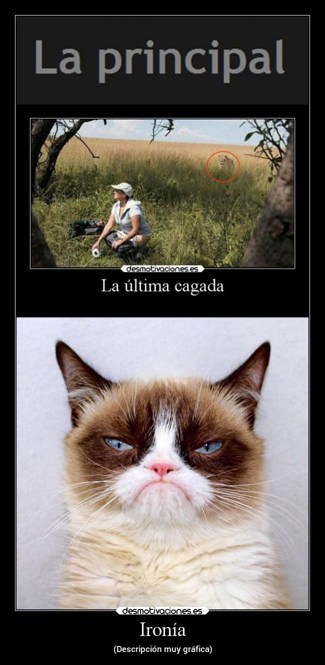 carteles fail humor alma sinoloentiendesmeloresbalaolimpicamentehipocritas akleduok846 desmotivaciones