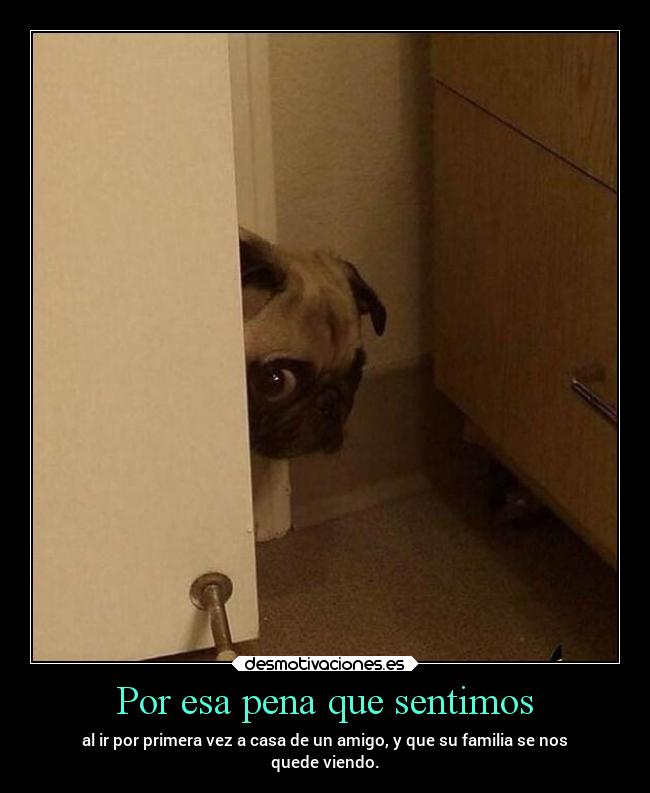 Por esa pena que sentimos - 