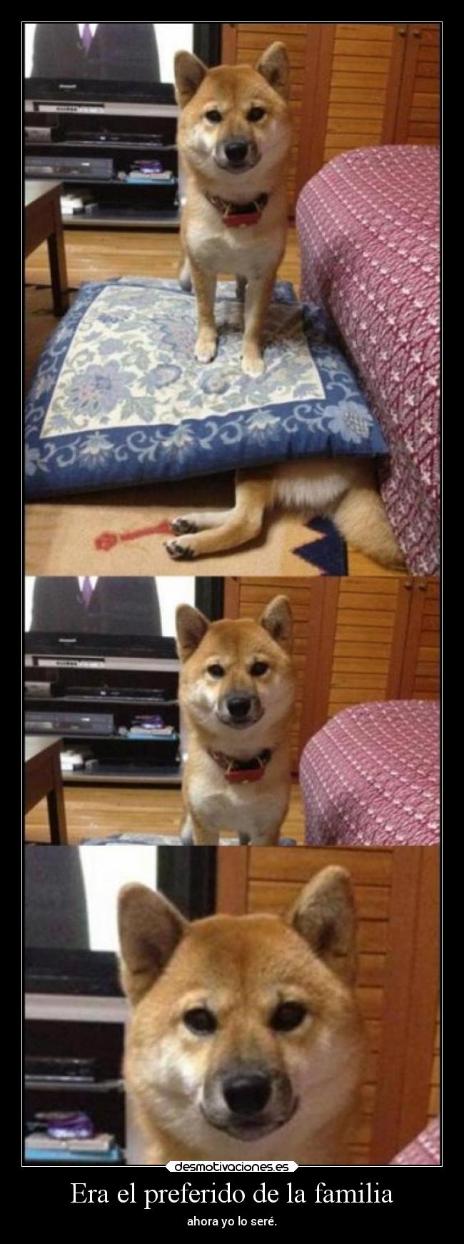 Era el preferido de la familia -