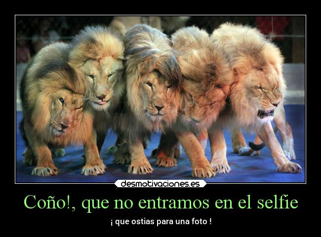 Coño!, que no entramos en el selfie - ¡ que ostias para una foto !