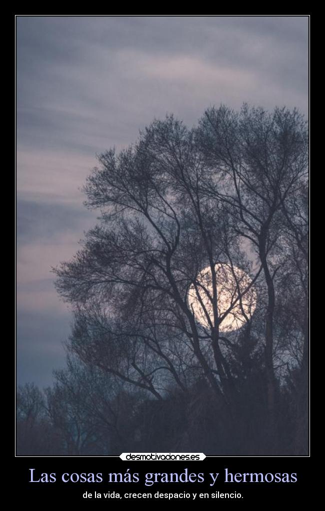carteles felicidad vida hermoso cosas arboles crecer pocoapoco dannaconsentida desmotivaciones