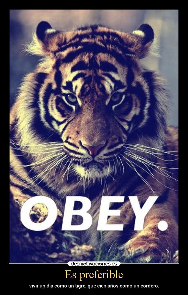 Es preferible - vivir un día como un tigre, que cien años como un cordero.