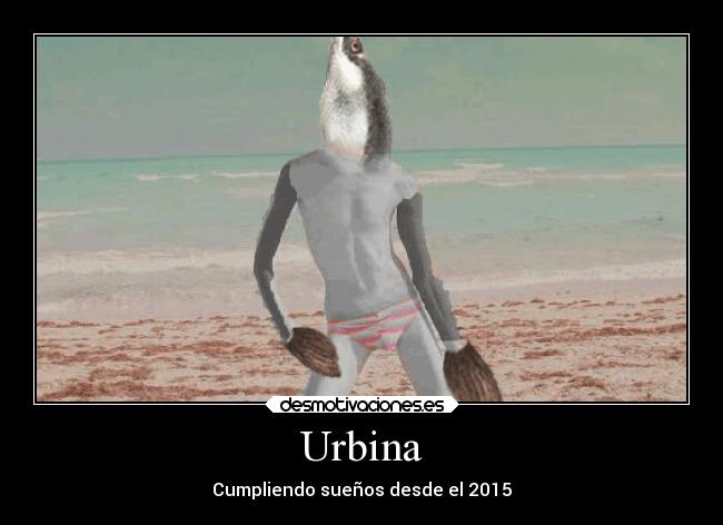 Urbina - Cumpliendo sueños desde el 2015