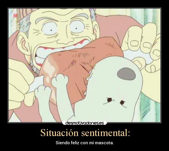 carteles gatos amor anime one piece carino perros mascota feliz desmotivaciones