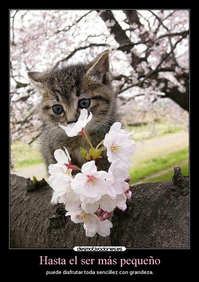 Hasta el ser más pequeño -
