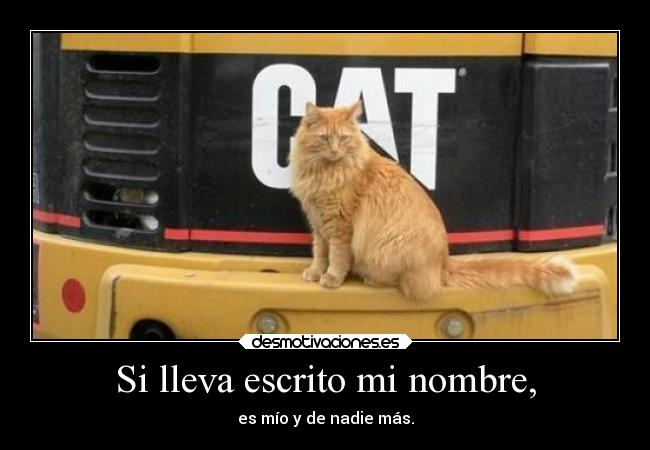 Si lleva escrito mi nombre, -