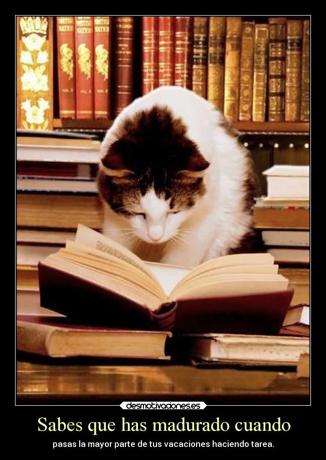 Sabes que has madurado cuando - pasas la mayor parte de tus vacaciones haciendo tarea.