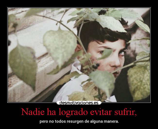 Nadie ha logrado evitar sufrir, - pero no todos resurgen de alguna manera.