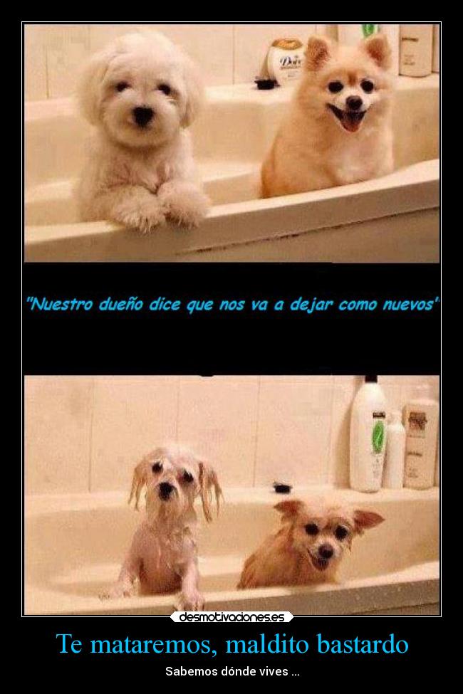 Te mataremos, maldito bastardo -