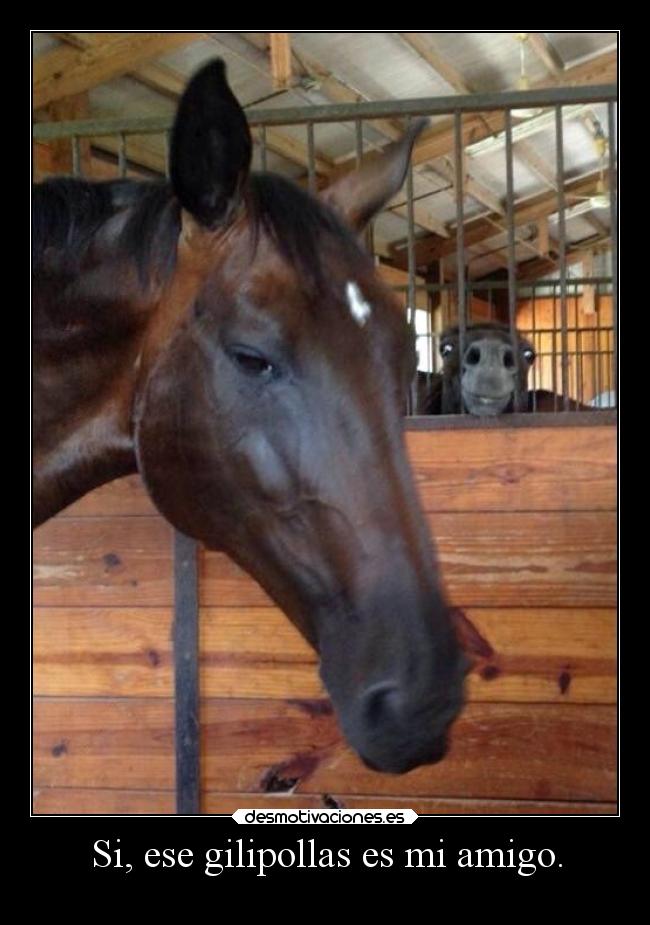 Si, ese gilipollas es mi amigo. - 