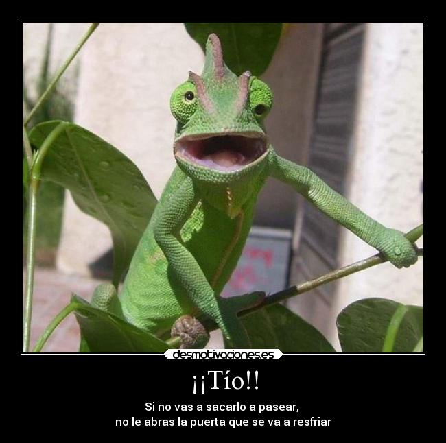 carteles humor camaleon verde bragueta foto creoquenohacegraciaperoeralounicoquesemeocurria pajaroloco desmotivaciones