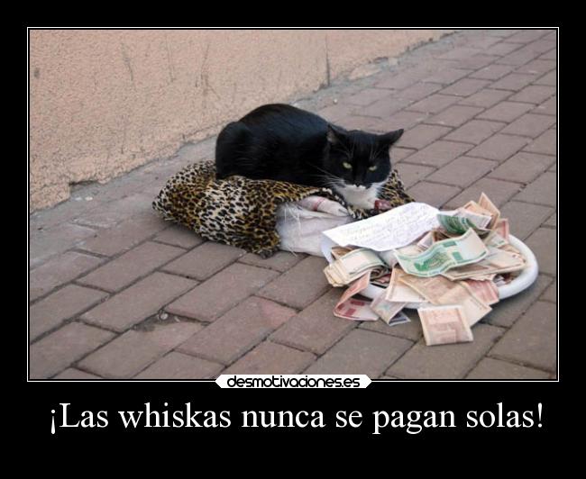 ¡Las whiskas nunca se pagan solas! -