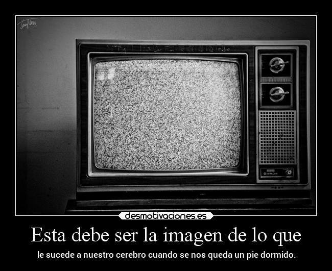 Esta debe ser la imagen de lo que - 