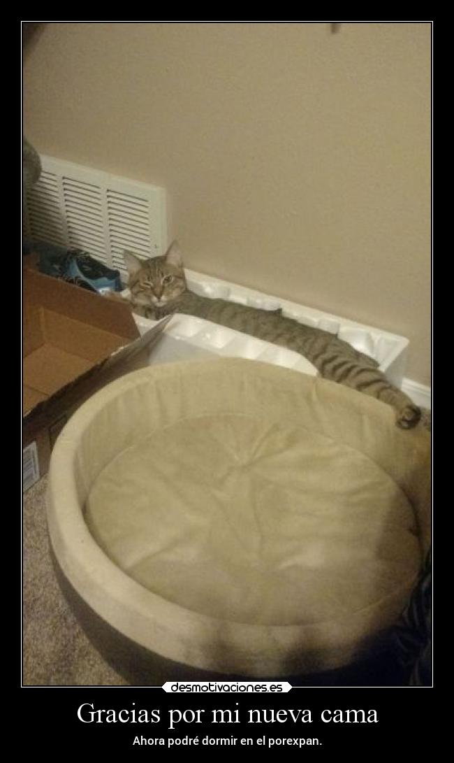 Gracias por mi nueva cama - 