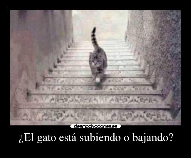 carteles humor ilusionoptica thesmokingpoet desmotivaciones